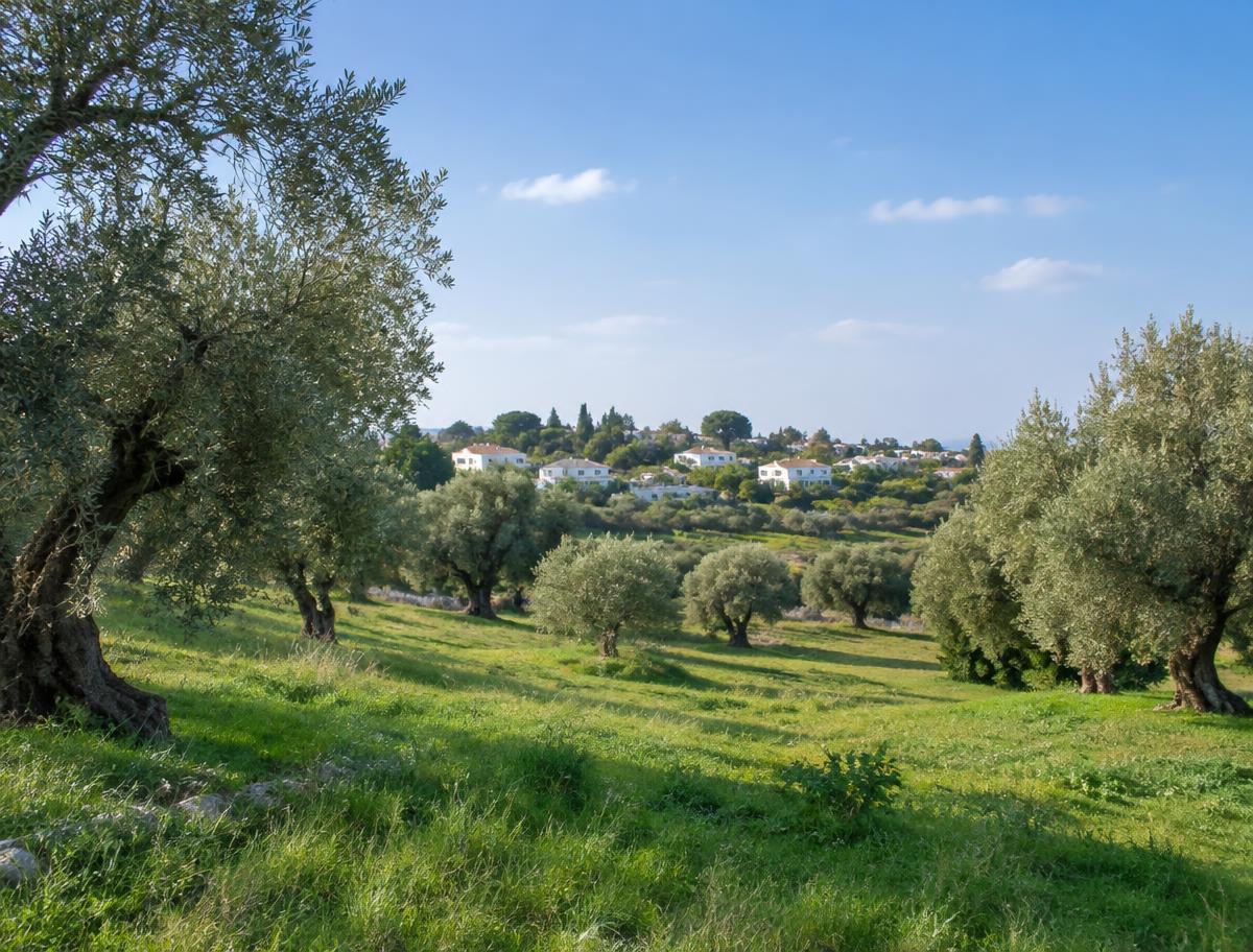 מגרשים וקרקעות — תמונת השראה